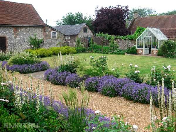 Красивые и эффективные теплицы на участке
Красивые и эффективные теплицы на участке