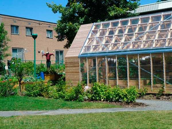 Красивые и эффективные теплицы на участке
Красивые и эффективные теплицы на участке