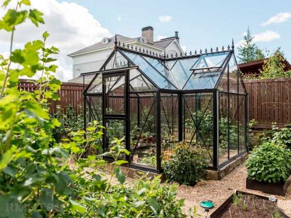 Красивые и эффективные теплицы на участке
Красивые и эффективные теплицы на участке