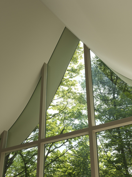 Дом выходного дня со скульптурной крышей