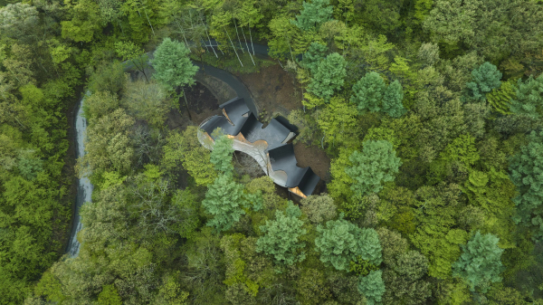 Дом выходного дня со скульптурной крышей