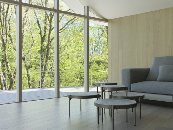 Дом выходного дня со скульптурной крышей