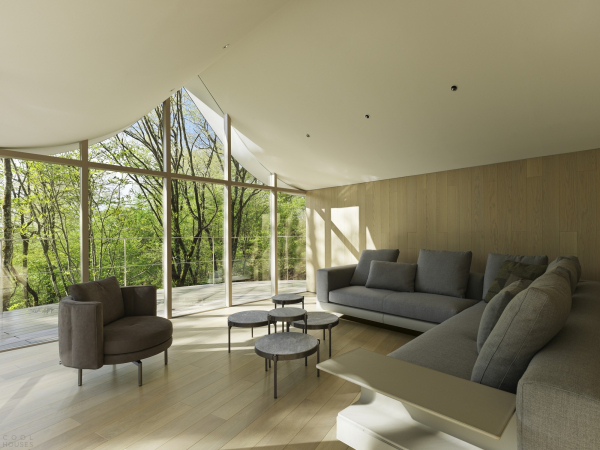 Дом выходного дня со скульптурной крышей