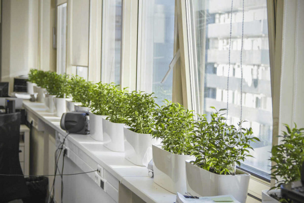 Как придать подоконнику функциональность — лучшие идея для интерьера Как придать подоконнику функциональность — лучшие идея для интерьера