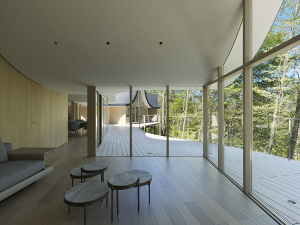 Дом выходного дня со скульптурной крышей