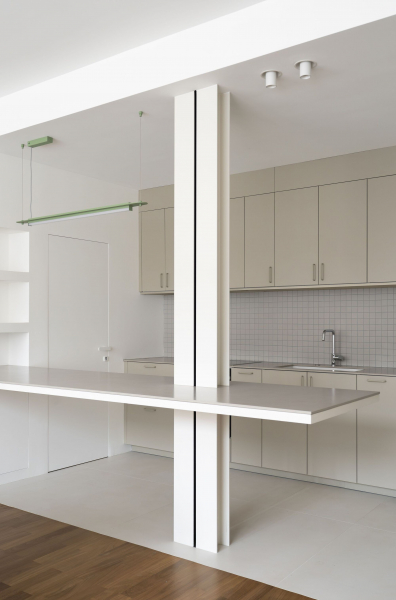 Современный лофт с историческим характером