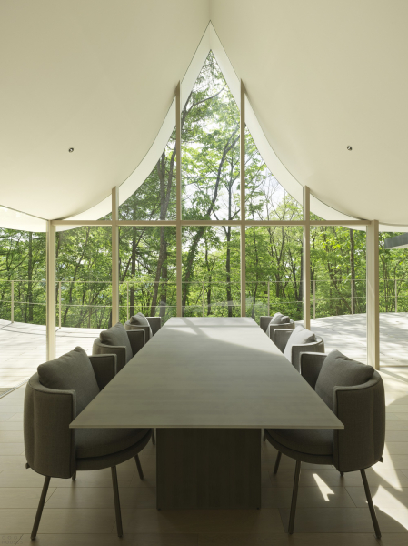 Дом выходного дня со скульптурной крышей