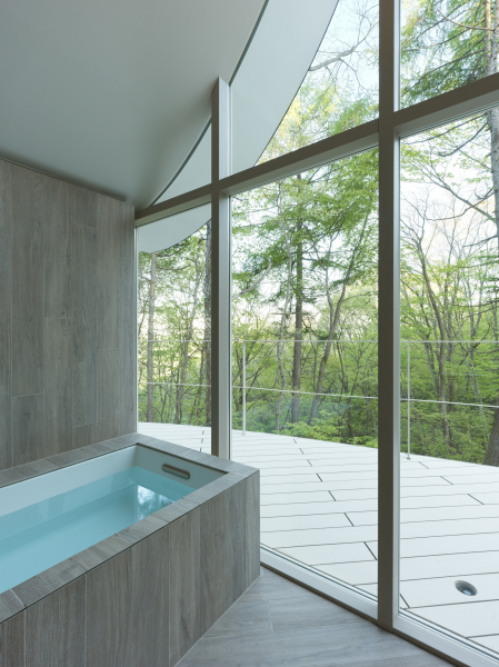 Дом выходного дня со скульптурной крышей