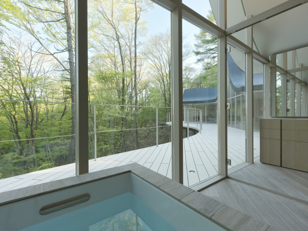 Дом выходного дня со скульптурной крышей