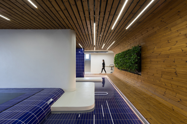 Апартаменты с уникальной пространственной сегментацией