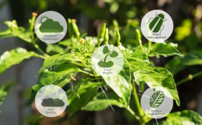 10 примеров использования IoT (интернет вещей)