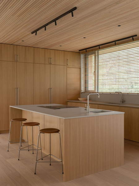 Современный скандинавский дом с гармоничным дизайном