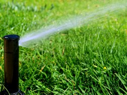 Как устроены и работают современные системы автоматического полива растений