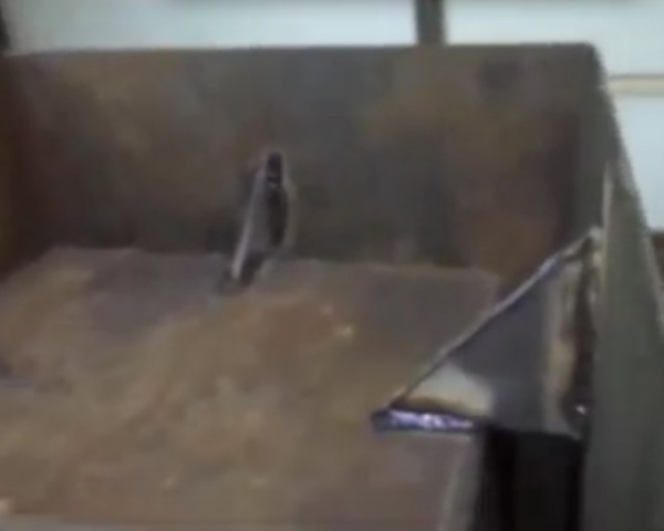 Металлическая печь для бани своими руками Металлическая печь для бани своими руками