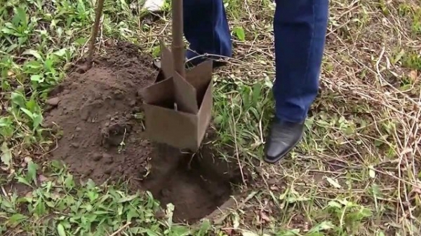 Как сделать плетенный забор своими руками