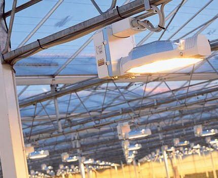 Натриевые лампы: разновидности, технические параметры, сфера применения + правила выбора Натриевые лампы: разновидности, технические параметры, сфера применения + правила выбора