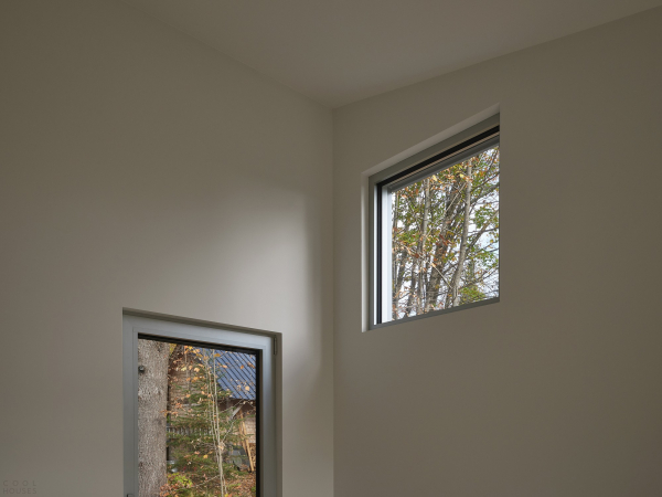 Шале, вдохновленное морфологией места